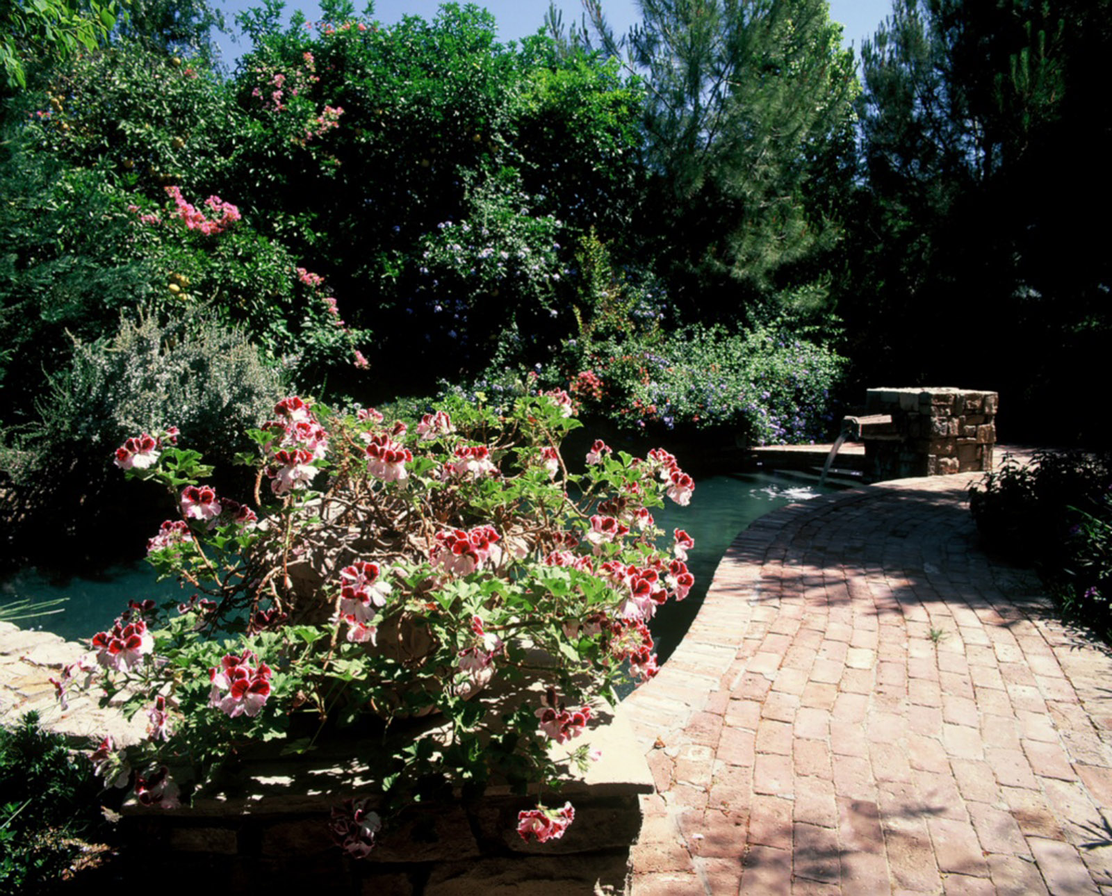 Designer Showhouse 2002 pool